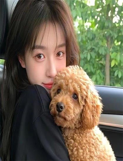 当家爸爸的聚会免费观看_黑帮少爷爱上我11集在线观看_黄色的网线是几类的